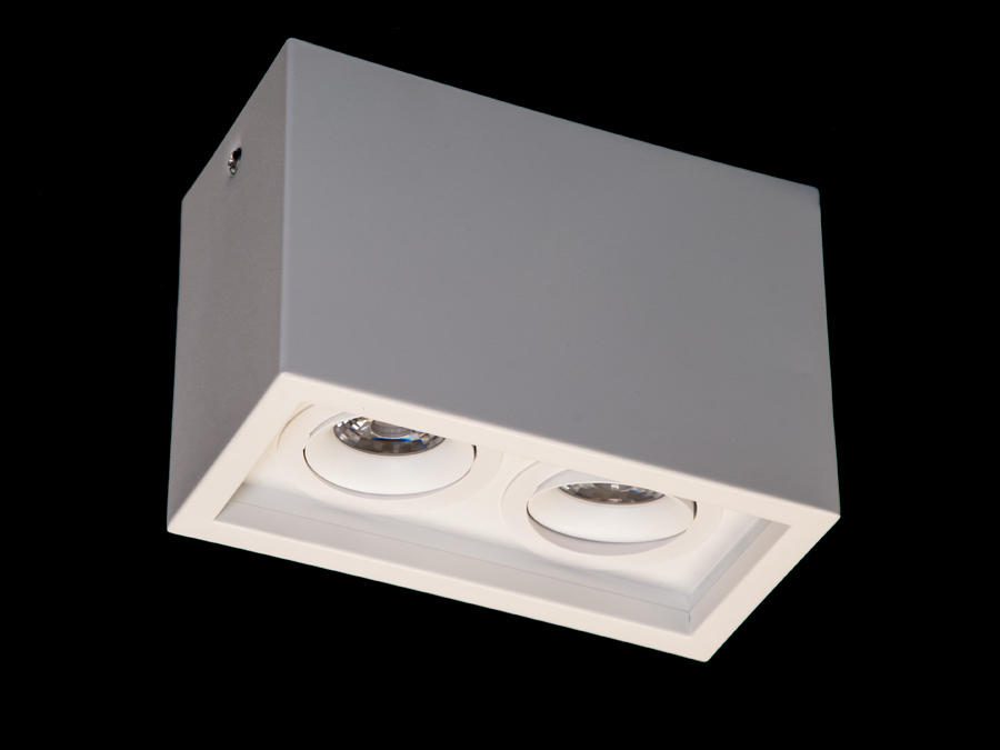 Здвоєний накладний точковий світлодіодний поворотний світильник для кухні, зали, вітальні, ванної кімнати від ТМ 