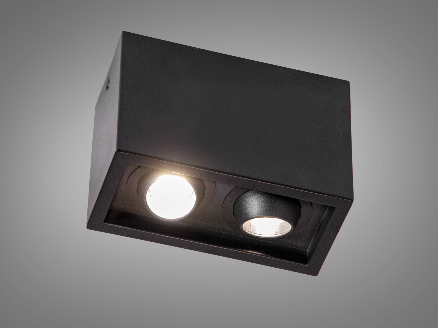 Чорний стельовий світильник Diasha з двома лампами для сучасного інтер′єру. Ідеальний для офісів та житлових приміщень.