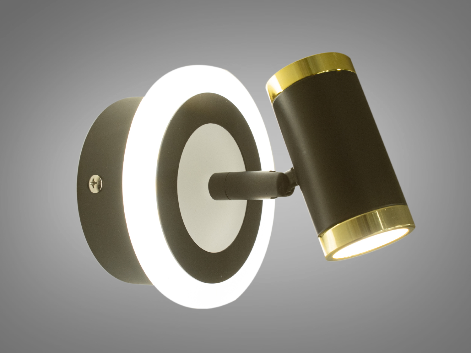 Спрямоване підсвічування в ніші для дзеркал і картин призначене для акцентного (елементного) підсвічування в інтер'єрі - підсвічування дзеркал як у приміщенні, так і у ванній кімнаті, для картин, витворів мистецтва, стінних ніш.
У цій серії всі світильники оснащені світлодіодними енергозберігаючими лампами, які при дуже низькій споживаній потужності створюють потужний світловий потік.
Кріпиться до будь-яких поверхонь стін універсальним кріпленням на монтажну планку.