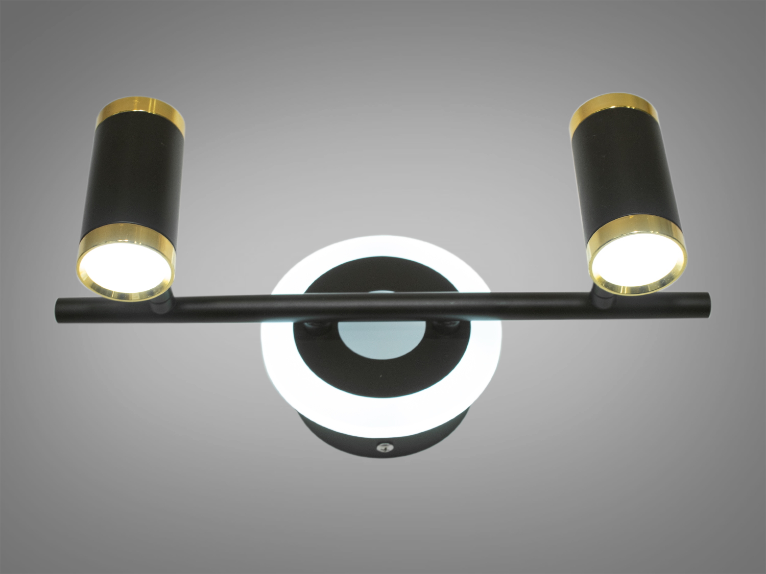 Сучасне підсвічування в зал для дзеркал і картин призначене для акцентного (елементного) підсвічування в інтер'єрі - підсвічування дзеркал як у приміщенні, так і у ванній кімнаті, для картин, витворів мистецтва, стінних ніш.
У цій серії всі світильники оснащені світлодіодними енергозберігаючими лампами, які при дуже низькій споживаній потужності створюють потужний світловий потік.
Кріпиться до будь-яких поверхонь стін універсальним кріпленням на монтажну планку.