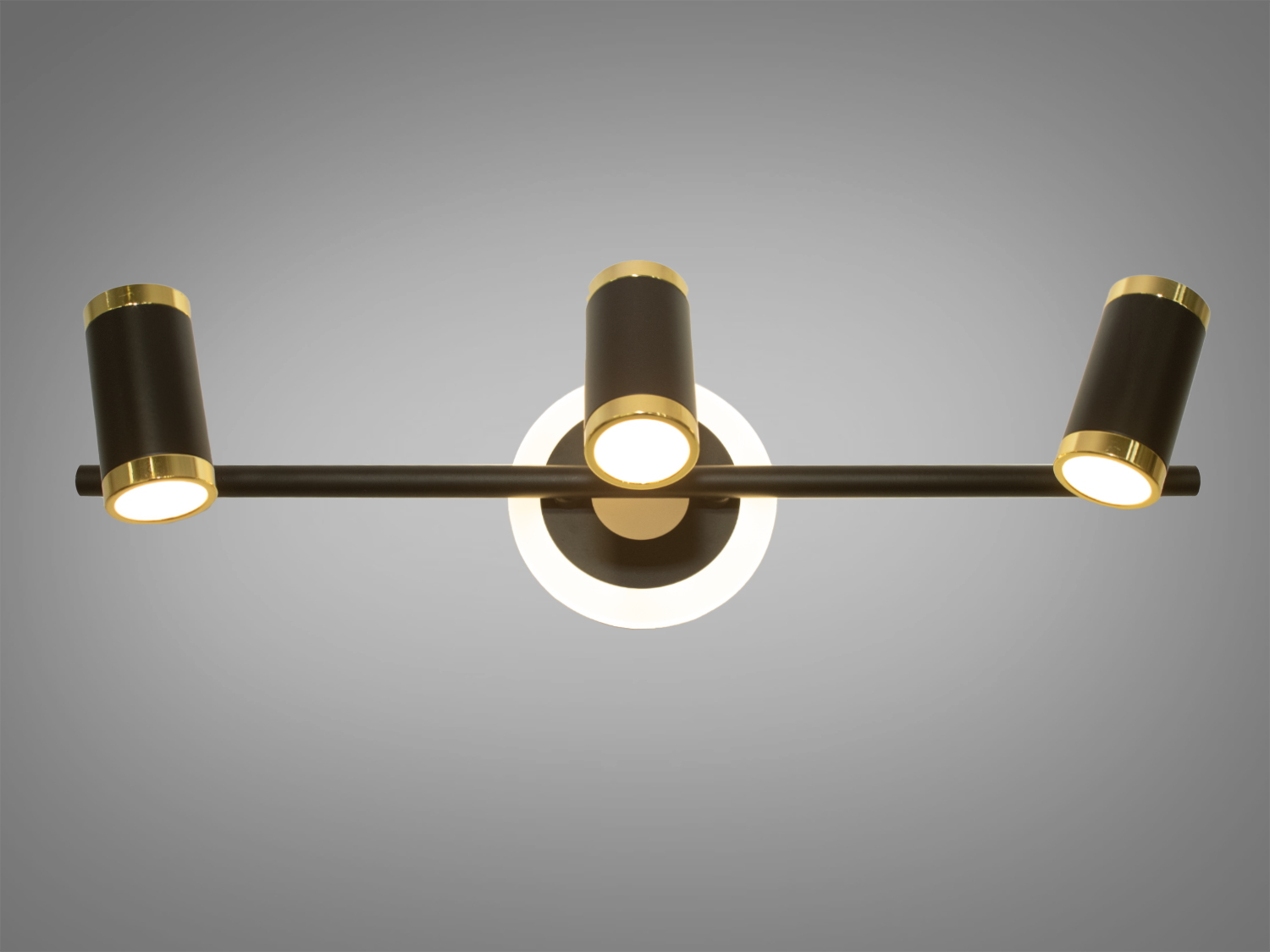 Елементне підсвічування в коридор для дзеркал і картин призначене для акцентного (елементного) підсвічування в інтер'єрі - підсвічування дзеркал як у приміщенні, так і у ванній кімнаті, для картин, творів мистецтва, стінних ніш.
У цій серії всі світильники оснащені світлодіодними енергозберігаючими лампами, які при дуже низькій споживаній потужності створюють потужний світловий потік.
Кріпиться до будь-яких поверхонь стін універсальним кріпленням на монтажну планку.