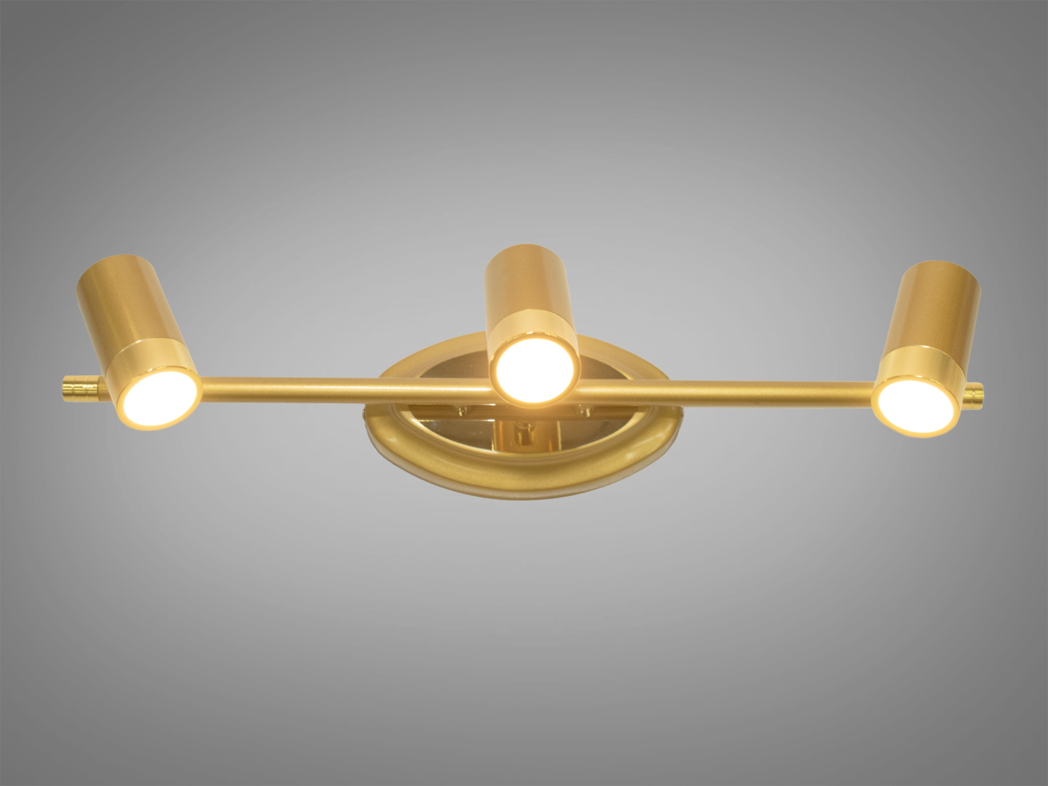 Підсвічування для дзеркал і картин у стилі модерн призначене для акцентного (елементного) підсвічування в інтер'єрі - підсвічування дзеркал як у приміщенні, так і у ванній кімнаті, для картин, витворів мистецтва, настінних ніш.
У цій серії всі світильники оснащені світлодіодними енергозберігаючими лампами, які при дуже низькій споживаній потужності створюють потужний світловий потік.
Кріпиться до будь-яких поверхонь стін універсальним кріпленням на монтажну планку.