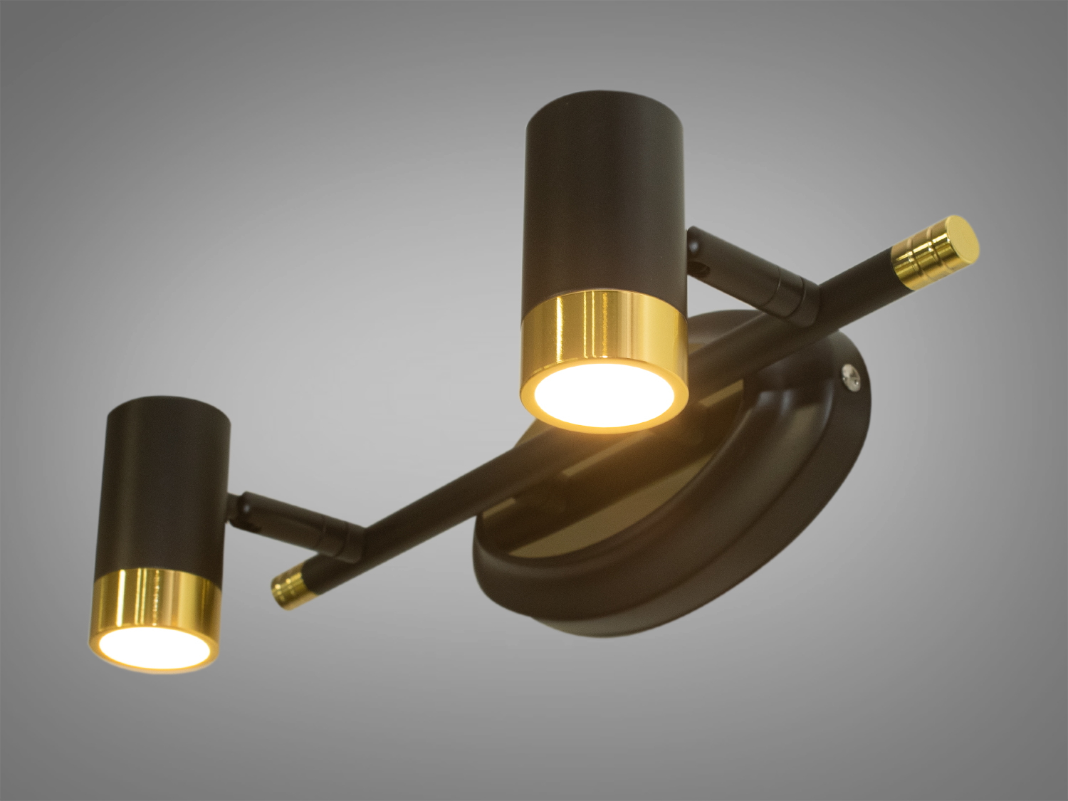 Настінне підсвічування для дзеркал і картин призначене для акцентного (елементного) підсвічування в інтер'єрі - підсвічування дзеркал як у приміщенні, так і у ванній кімнаті, для картин, творів мистецтва, стінних ніш.
У цій серії всі світильники оснащені світлодіодними енергозберігаючими лампами, які при дуже низькій споживаній потужності створюють потужний світловий потік.
Кріпиться до будь-яких поверхонь стін універсальним кріпленням на монтажну планку.