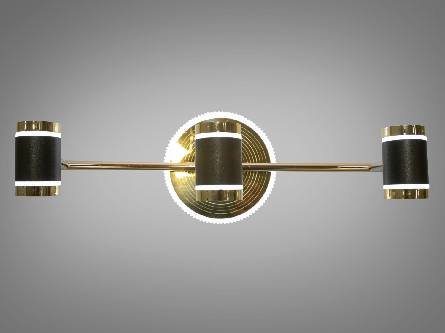 Спрямоване підсвічування для картин та дзеркал призначене для акцентного (елементного) підсвічування в інтер'єрі - підсвічування дзеркал як у приміщенні, так і у ванній кімнаті, для картин, витворів мистецтва, стінних ніш.
У цій серії всі світильники оснащені світлодіодними енергозберігаючими лампами, які при дуже низькій споживаній потужності створюють потужний світловий потік.
Кріпиться до будь-яких поверхонь стін універсальним кріпленням на монтажну планку.