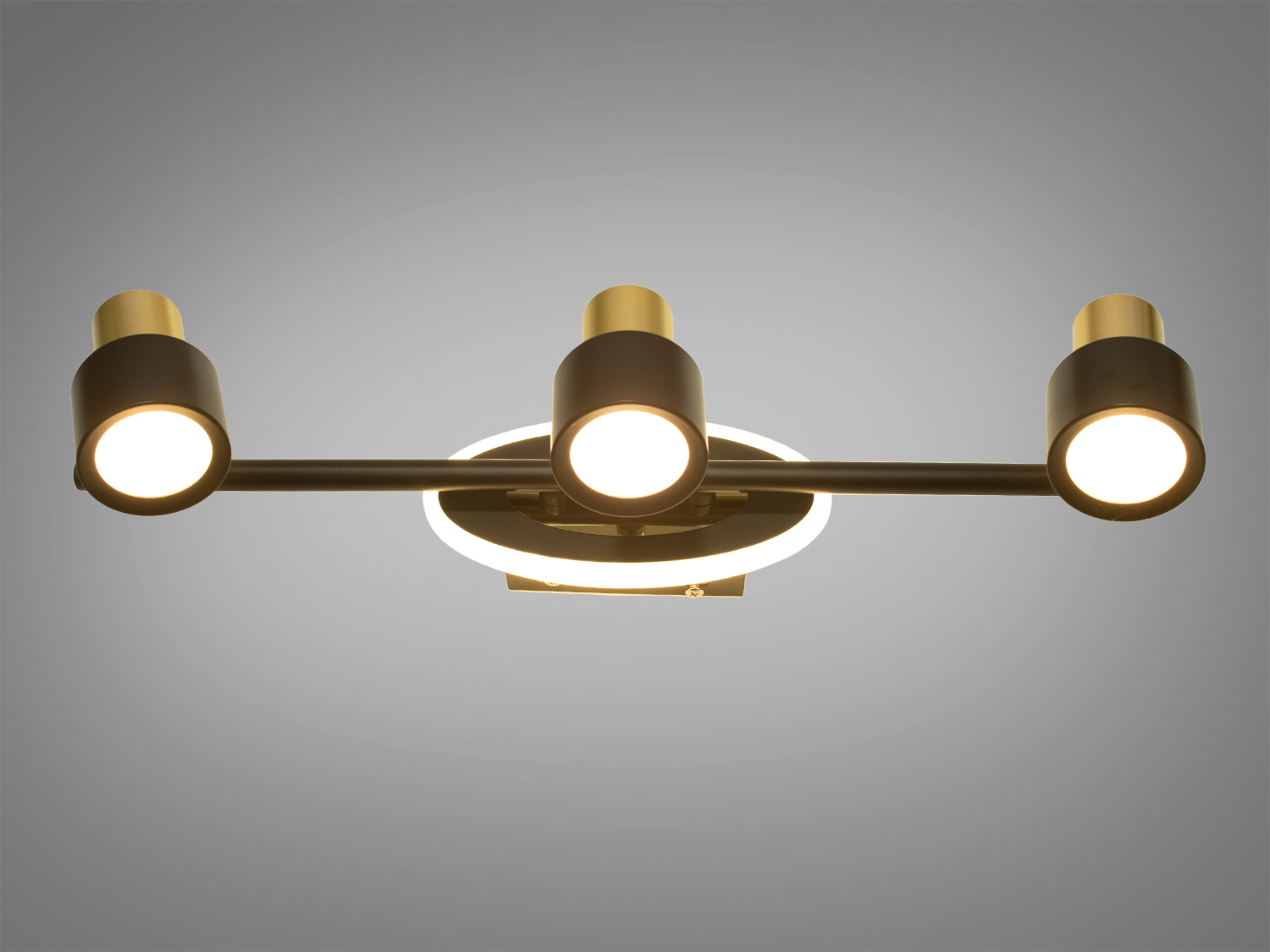 Сучасне підсвічування для картин та дзеркал призначене для акцентного (елементного) підсвічування в інтер'єрі - підсвічування дзеркал як у приміщенні, так і у ванній кімнаті, для картин, витворів мистецтва, стінних ніш.
У цій серії всі світильники оснащені світлодіодними енергозберігаючими лампами, які при дуже низькій споживаній потужності створюють потужний світловий потік.
Кріпиться до будь-яких поверхонь стін універсальним кріпленням на монтажну планку.