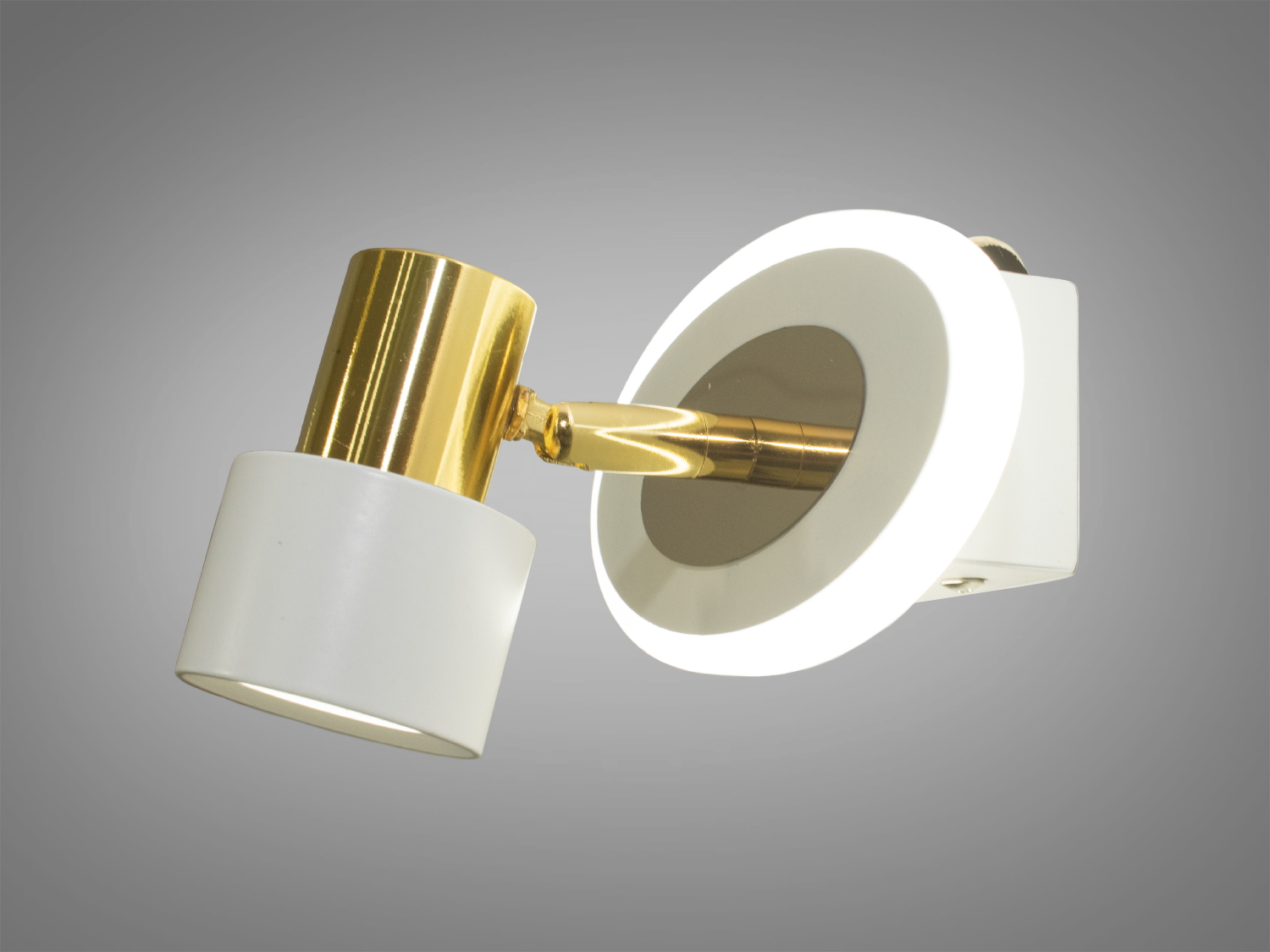 Лаконічне підсвічування для картин та дзеркал призначене для акцентного (елементного) підсвічування в інтер'єрі - підсвічування дзеркал як у приміщенні, так і у ванній кімнаті, для картин, витворів мистецтва, стінних ніш.
У цій серії всі світильники оснащені світлодіодними енергозберігаючими лампами, які при дуже низькій споживаній потужності створюють потужний світловий потік.
Кріпиться до будь-яких поверхонь стін універсальним кріпленням на монтажну планку.