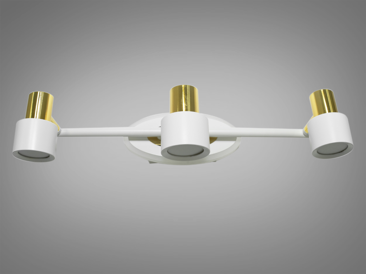 Акцентне підсвічування для дзеркал і картин призначене для акцентного (елементного) підсвічування в інтер'єрі - підсвічування дзеркал як у приміщенні, так і у ванній кімнаті, для картин, витворів мистецтва, стінних ніш.
У цій серії всі світильники оснащені світлодіодними енергозберігаючими лампами, які при дуже низькій споживаній потужності створюють потужний світловий потік.
Кріпиться до будь-яких поверхонь стін універсальним кріпленням на монтажну планку.