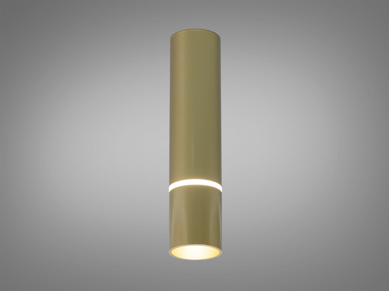 Накладний точковий світильник-туба Diasha, золото, патрон GU10. Металевий циліндр, спрямоване світло, монтаж на стелю. Лампа не входить у комплект.